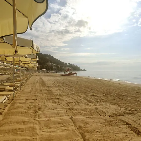 酒店 戴安娜大酒店 4*