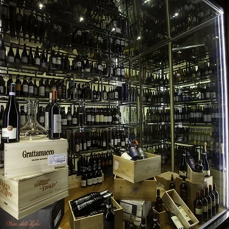 酒店 戴安娜大酒店 阿拉西奥